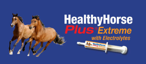 Healthy Horse Plus® Extreme with Electrolytes - Image 3