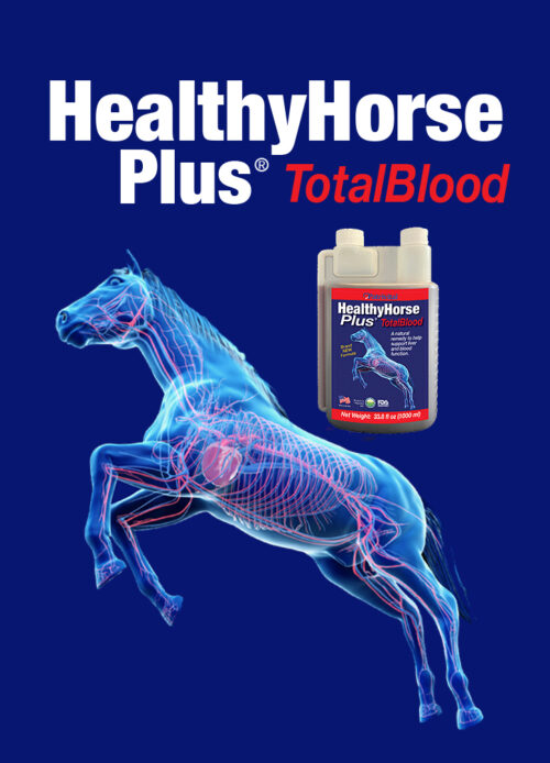 Healthy Horse Plus® Total Blood - Image 2