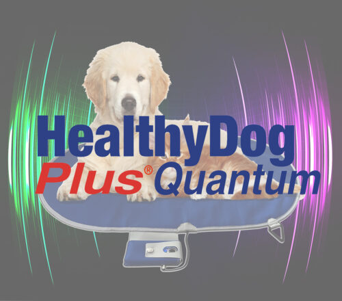 HealthyDog Plus Quantum